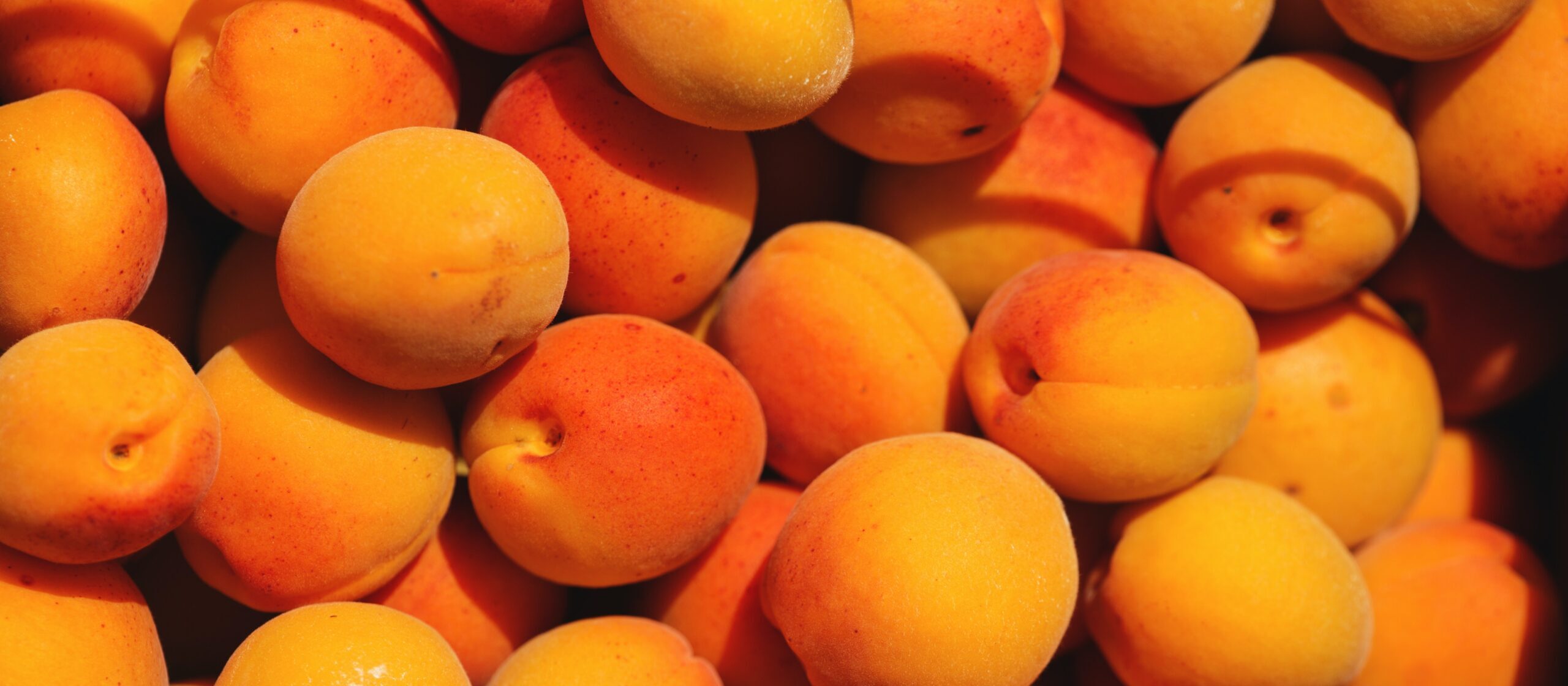 Eine kleine Erfrischung gefällig? – Farner’s